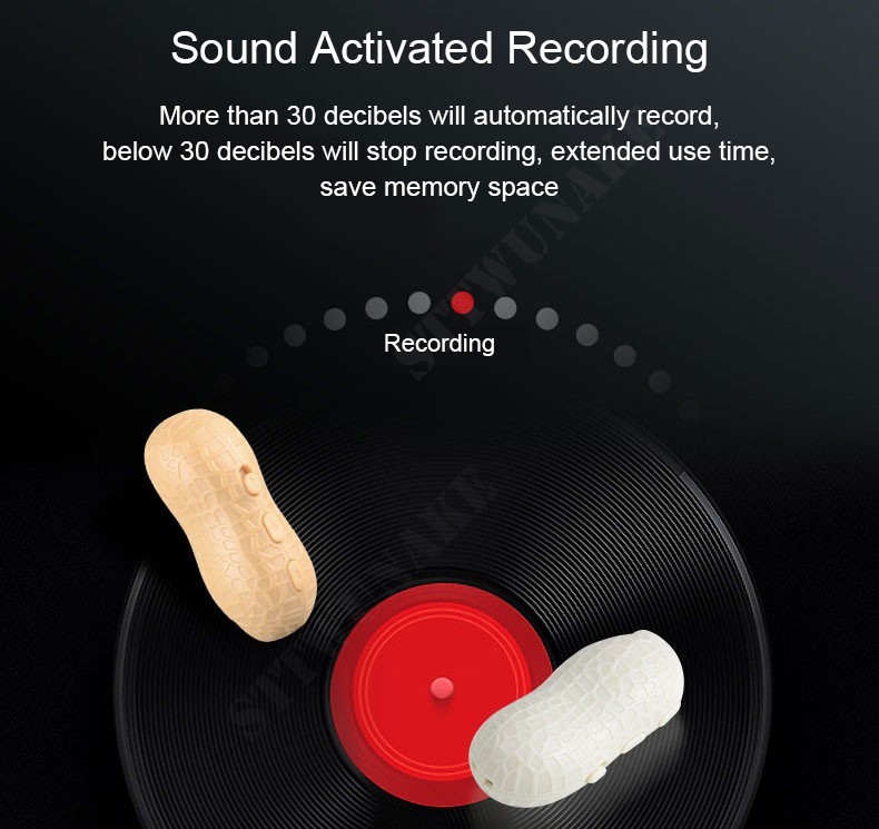 audio rekorder zaznamnik hlasu mini mikro