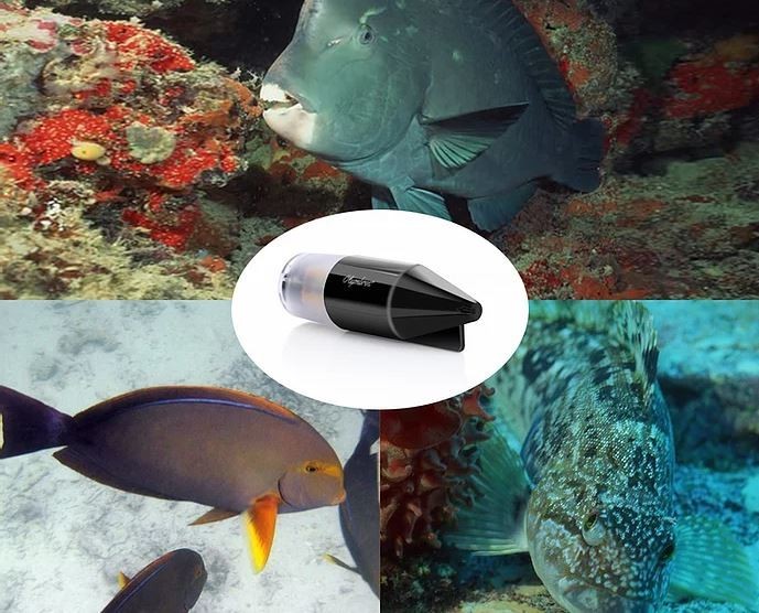 podvodna kamera pre rybarov